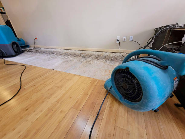 Professional Water Removal technician working in Graford, TX
